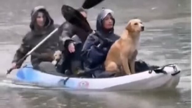 Djevojke spasile psa