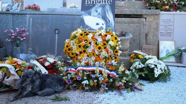 Sprovod Brigitte Bardot - 12