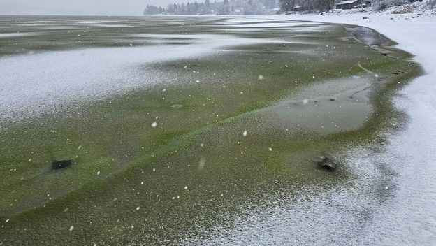 Zeleni led u Češkoj