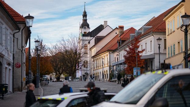 Slovenska policija, ilustracija
