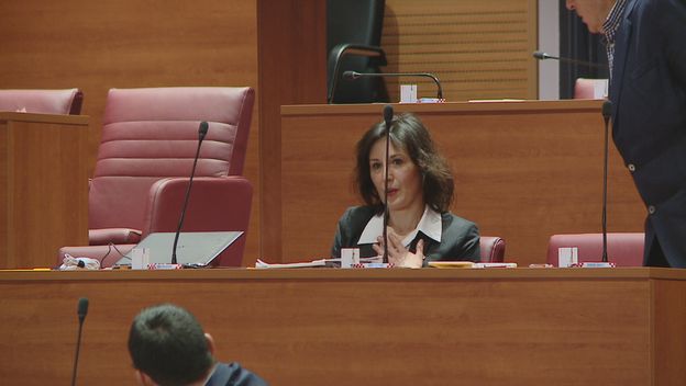 Daliju Orešković stresla struja u Saboru