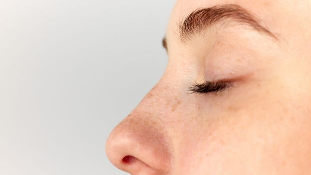 Kako se piše: nosevi ili nosovi