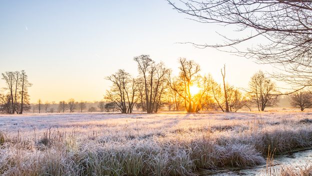 Hladno zimsko jutro, ilustracija