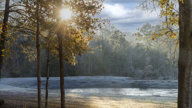 Zimsko jutro, ilustracija