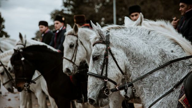 Poklade u Vinkovcima