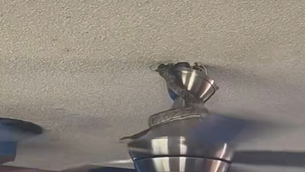 Zmija na ventilatoru