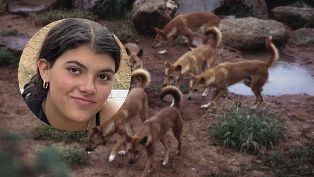 Piper James stradala nakon napada divljih pasa