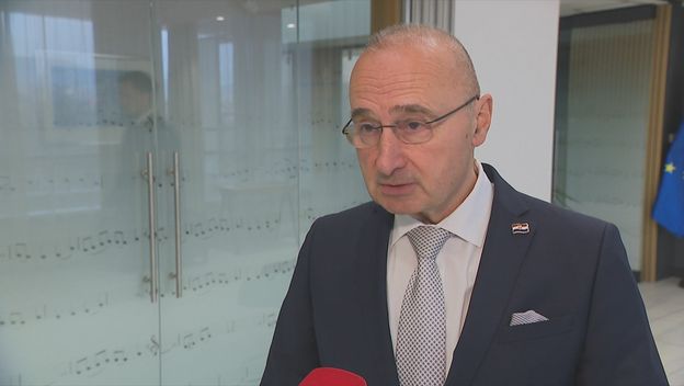 Gordan Grlić-Radman