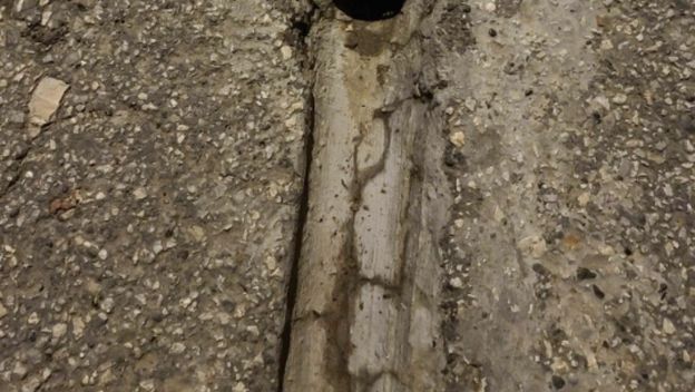 Neobičan detalj na slivniku u dvorištu