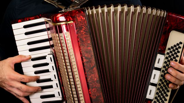 Harmonika, ilustracija