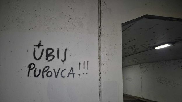 Grafiti u pothodniku u Savskom Gaju