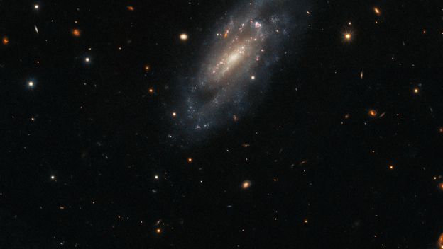 Spiralna galaksija UGC 11860