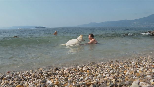 Psi na plaži - 3