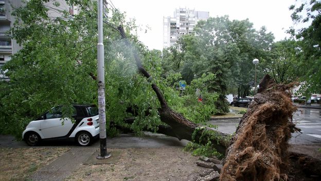 Nevrijeme rušilo stabla u Zagrebu - 8