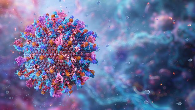 Virus afričke svinjske kuge