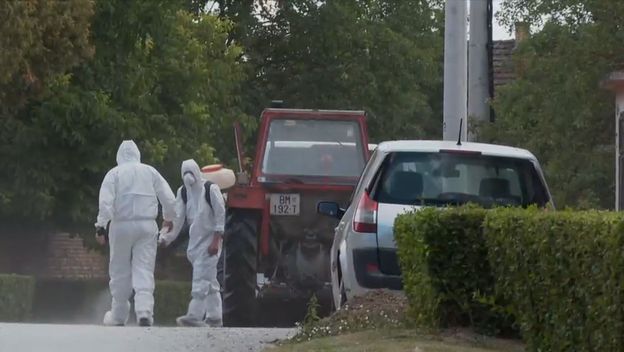 Afrička svinjska kuga u Baranji - 3