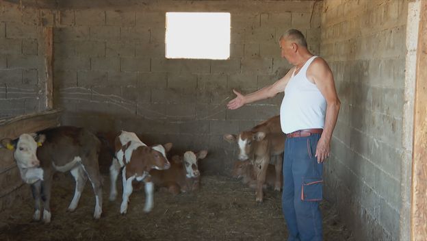 Čekaju se toksikološki nalazi