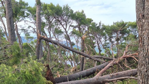 Marjan nakon oluje - 3