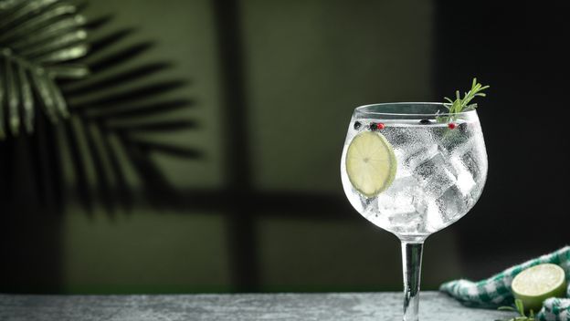 Kako se piše: gin-tonic ili džin-tonik