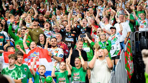 Navijači na Europskoj ligi u rukometu