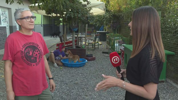 Matea Drmić i Ivana Crnoja - 3