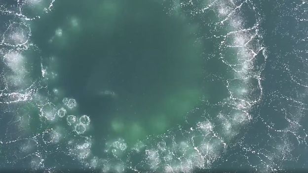 Metoda lova kitova u oceanu