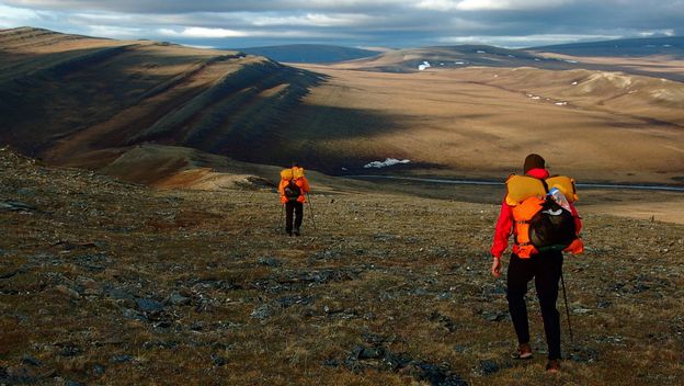 Istraživanje divljine