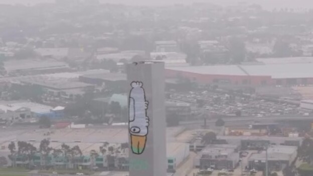 Pam the Bird grafit