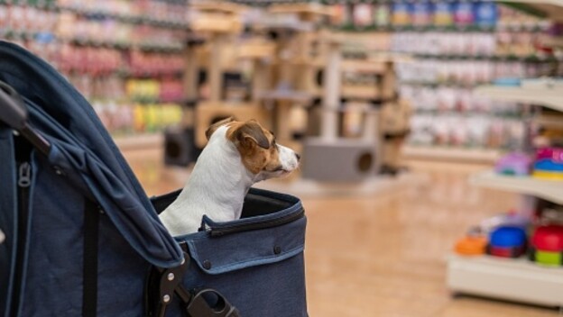 Pet shop