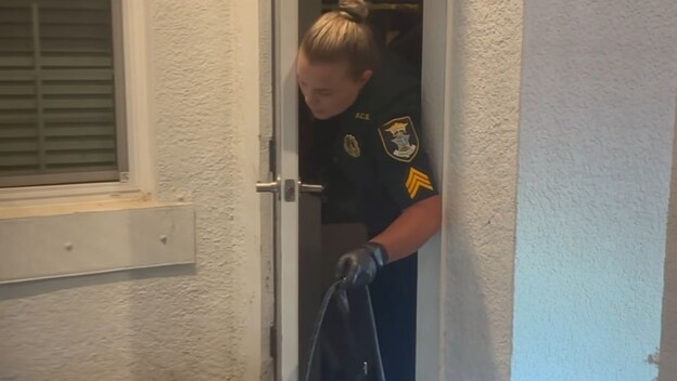 Policajka i aligator