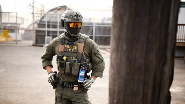 Agent ICE-a