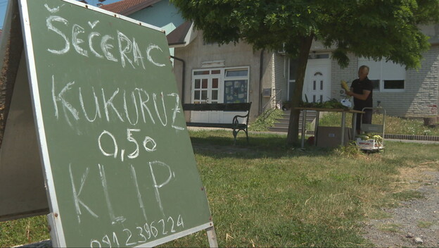 Kukuruz - 1