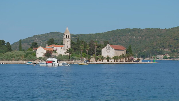 Vis - 1