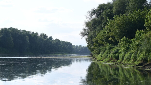 Sava