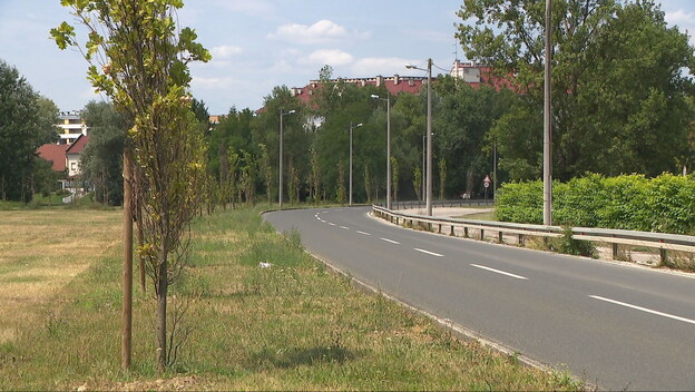 Alka Vuica - 2