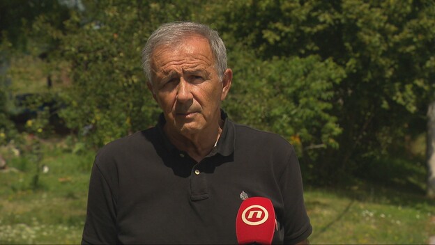 Luka Brkić, ekonomski analitičar