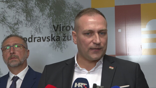David Vlajčić - 2