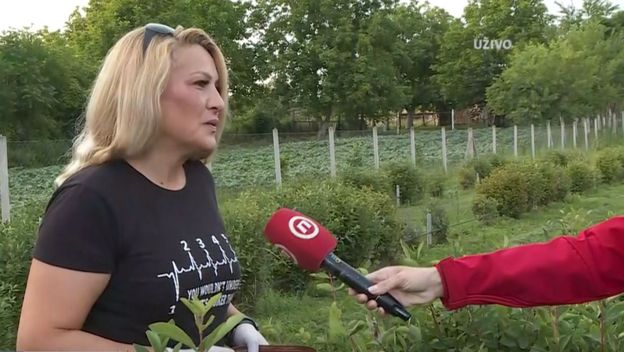 Tanja Ćosić, uzgajivačica sibirske borovnice