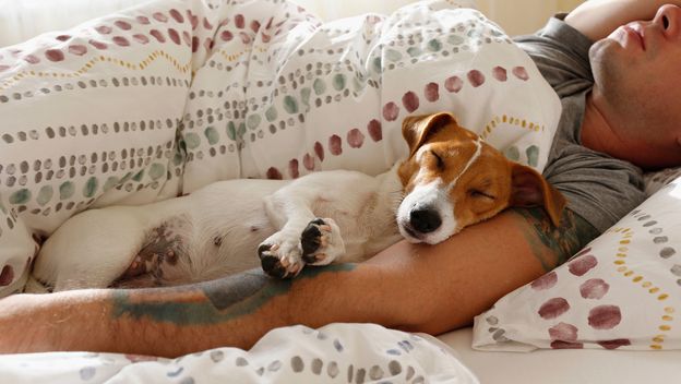 Pas i vlasnik spavaju
