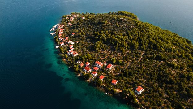 Ošljak - 3