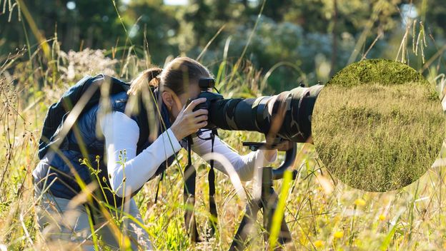 Fotograf u prirodi i mladunče lava skriveno u visokoj travi