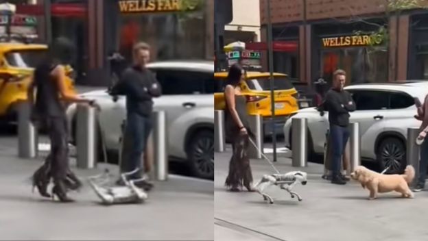 Susret pravog psa s robotskim