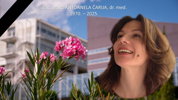 Antoanela Čarija