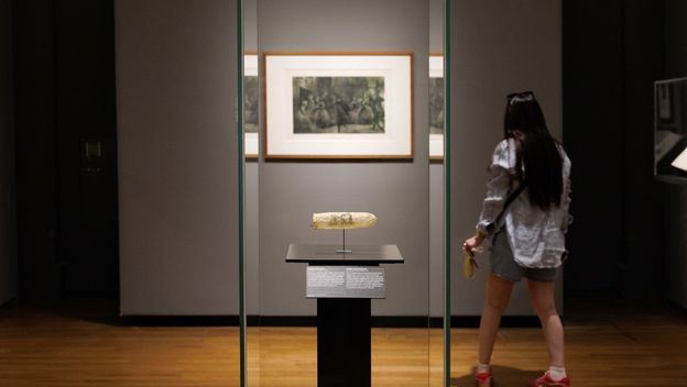 Rijksmuseum u Amsterdamu izlaže kondom star gotovo 200 godina - 2
