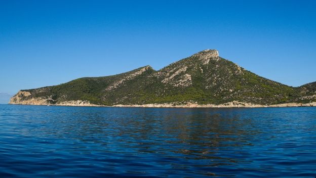 Otok zmija