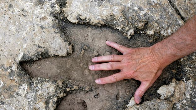 Brijuni