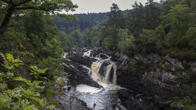 Rogie Falls