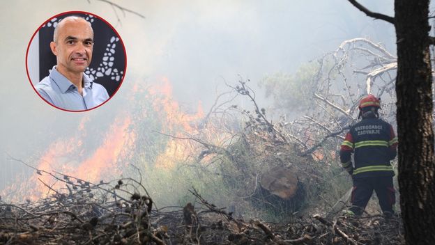 Vlasnik uljare Orgula i požar u Dalmaciji