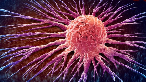 Širenje stanica raka