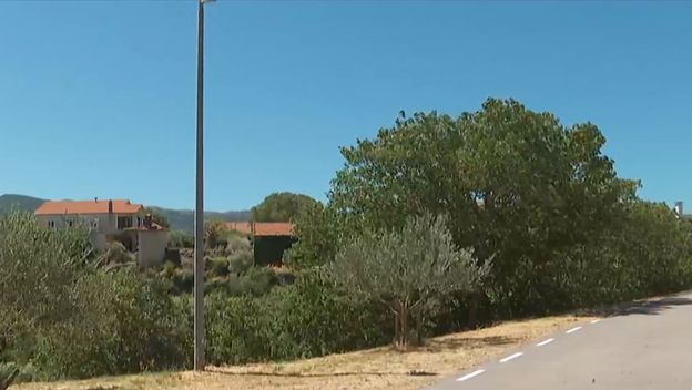 Stravično ubojstvo kod Cetine - 1